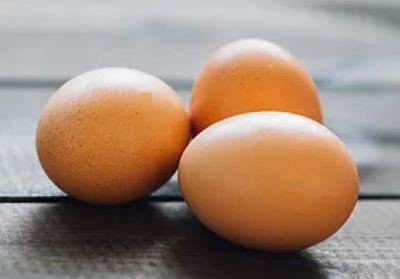 Œufs de plein air — Au Dîner Biologique