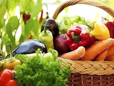 Panier de produits biologiques de saison