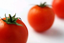 Tomates fraîches et juteuses, avec une peau lisse et brillante